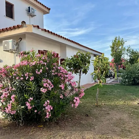 Sa Nuche Sea View In וילה